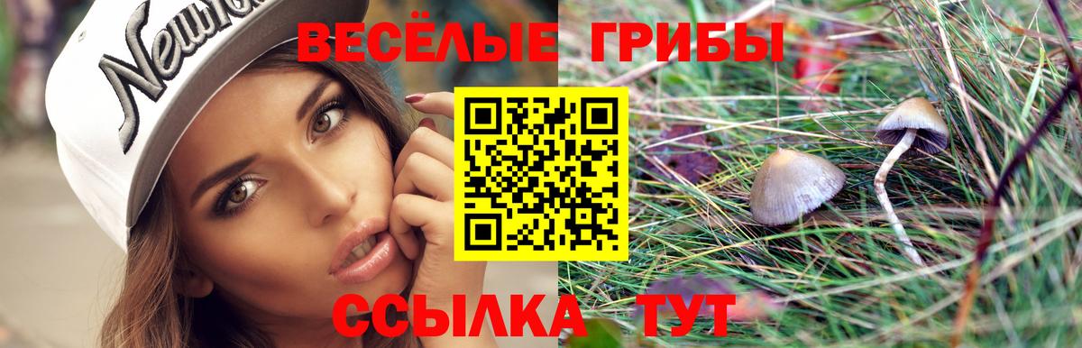 Псилоцибиновые грибы мухоморы  Вход с VPN  Рубцовск  Псилоцибиновые грибы MAGIC MUSHROOMS 